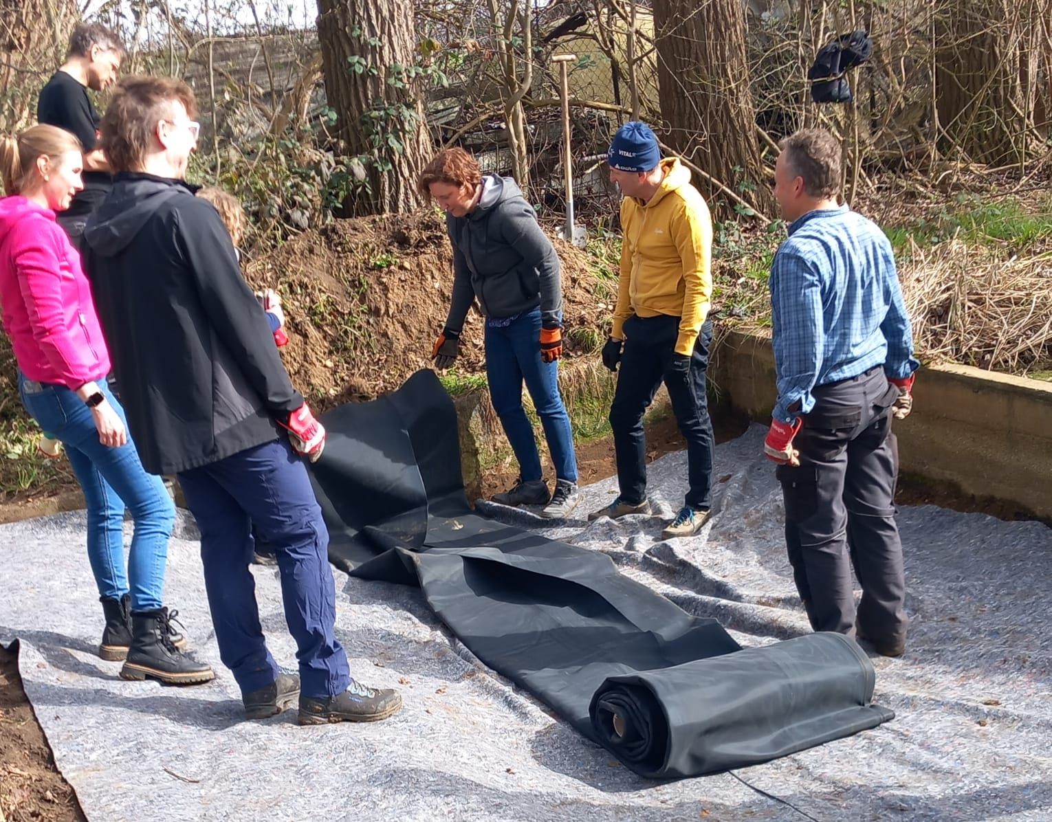 Teichsanierung